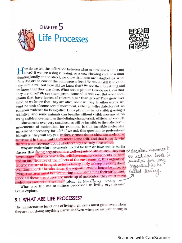 Life processes - Nutrition and Respiration notes | PDF