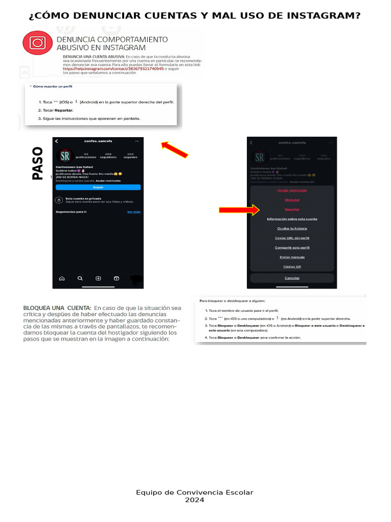Cómo Denunciar Cuentas en Instagram | PDF