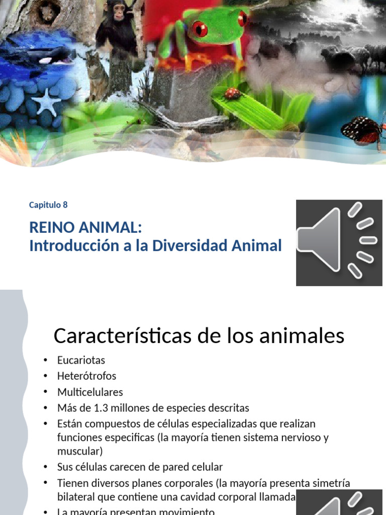Reino Animal I, II, III | PDF | Embrión | Zoología