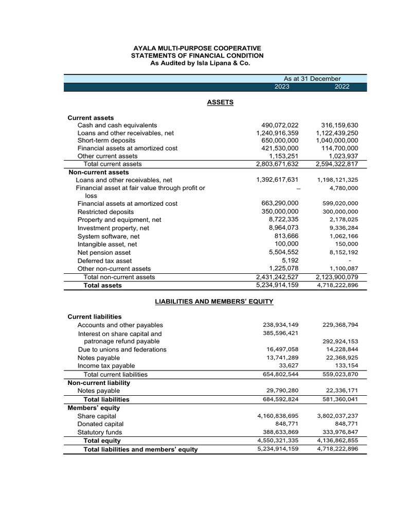 Ayala Cooperative Financial Statements 2023 | PDF | Expense | Equity ...