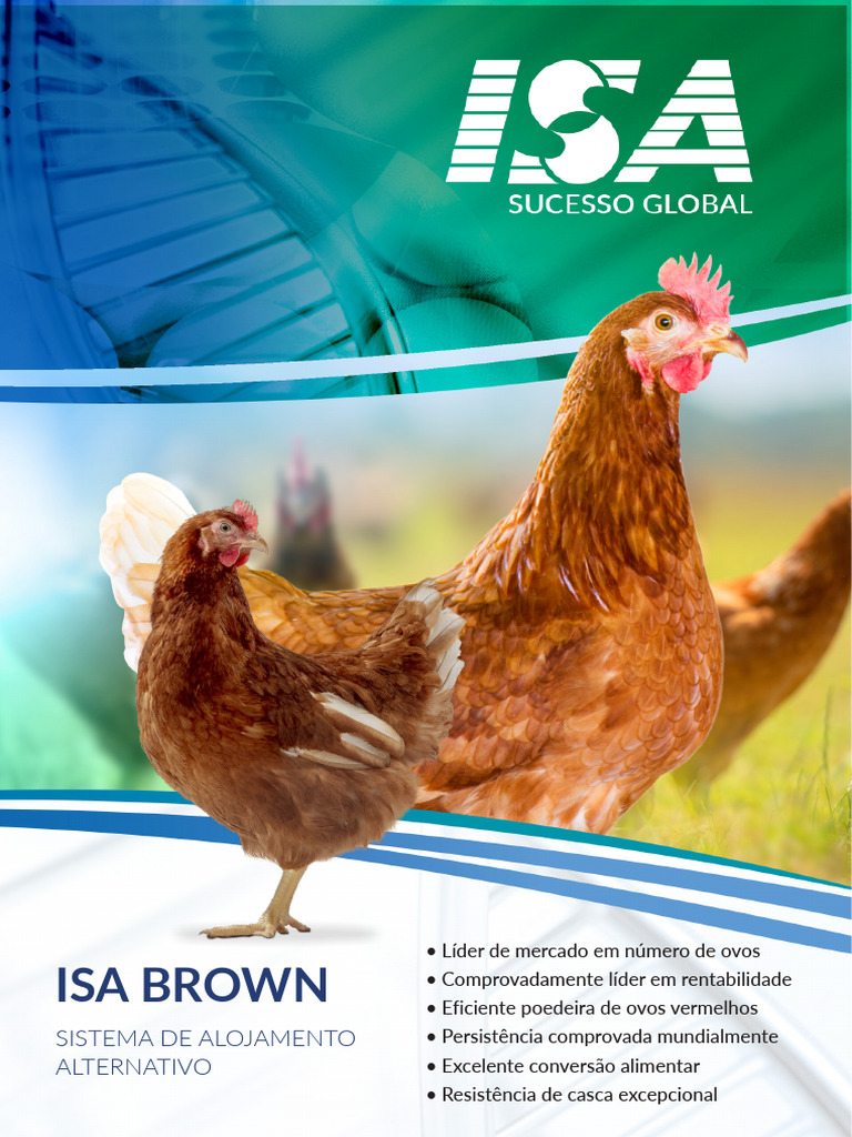 ISA Brown: Líder em Poedeiras de Ovos | PDF | Aves | Ornitologia