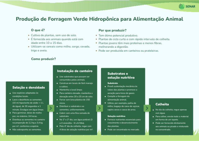 Produção de Forragem Verde Hidropônica | PDF | Agricultura | Milho