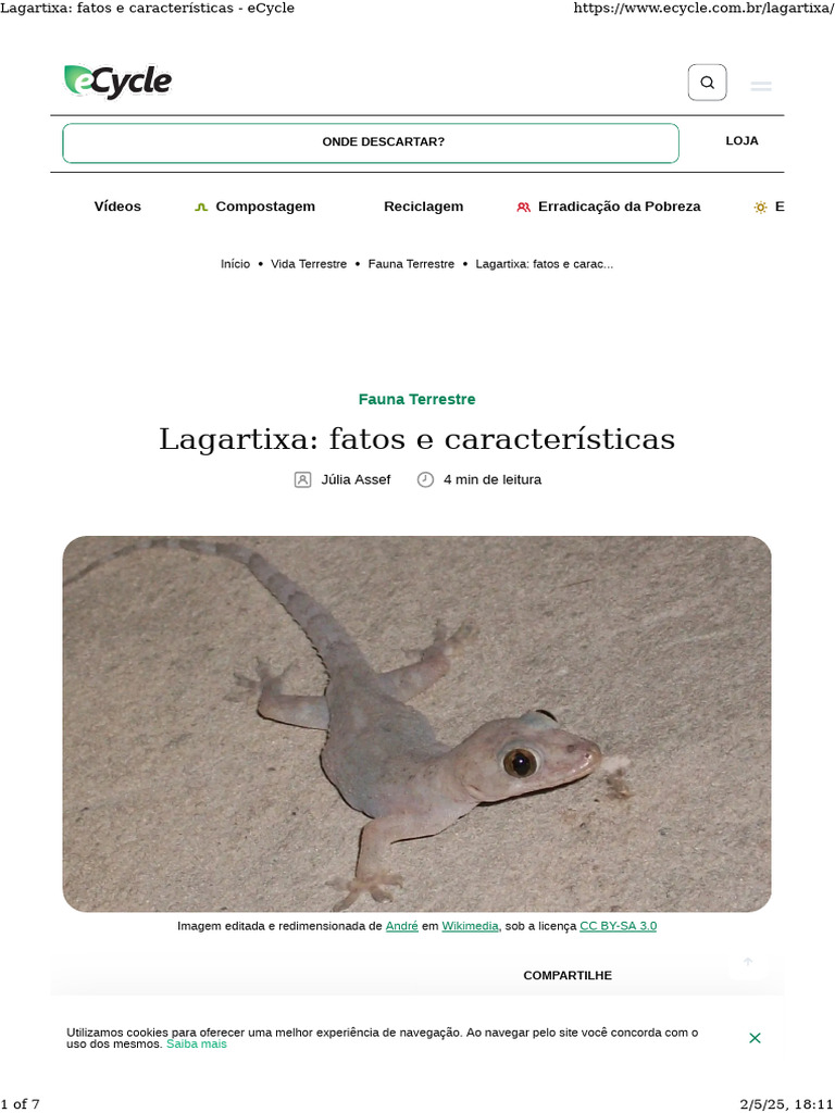 Lagartixa - Fatos e Características - Ecycle | PDF | Insetos | Zoologia