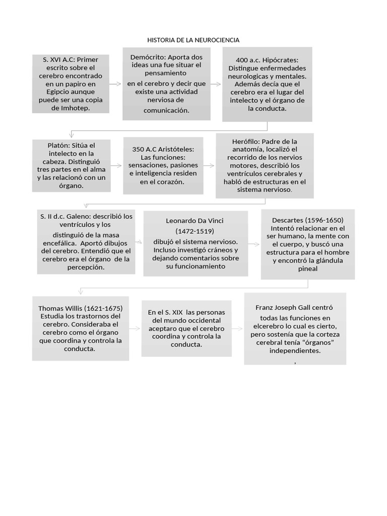 Evolución de la Neurociencia a lo Largo del Tiempo | PDF | Cerebro ...