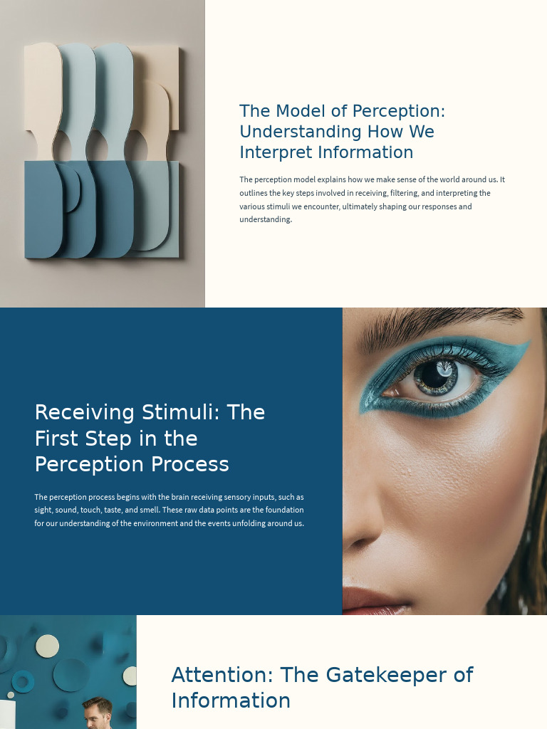 Understanding the Perception Model | PDF | Perception | Attention