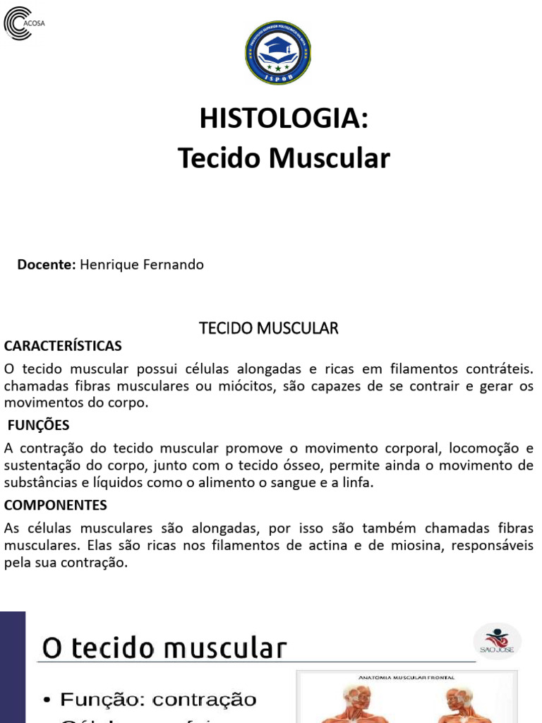 Tecido Muscular | PDF | Músculo | Anatomia