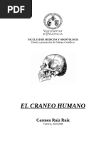 Suturas Del Cráneo Pdf Cráneo Anatomía