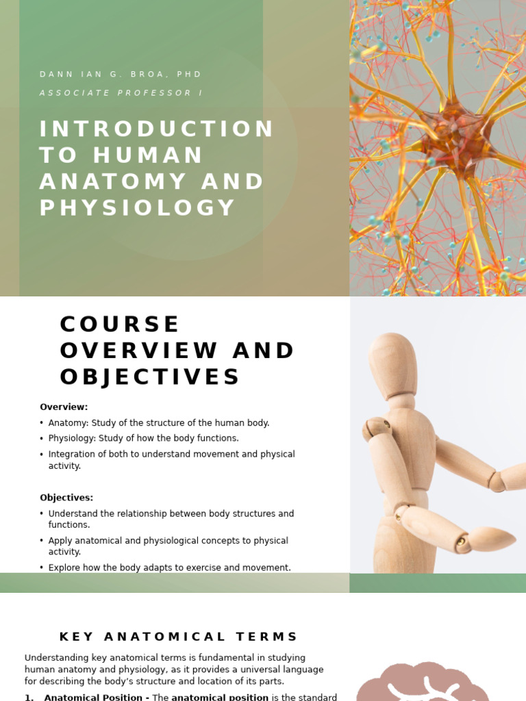 Human Anatomy and Physiology Overview | PDF | Anatomical Terms Of ...