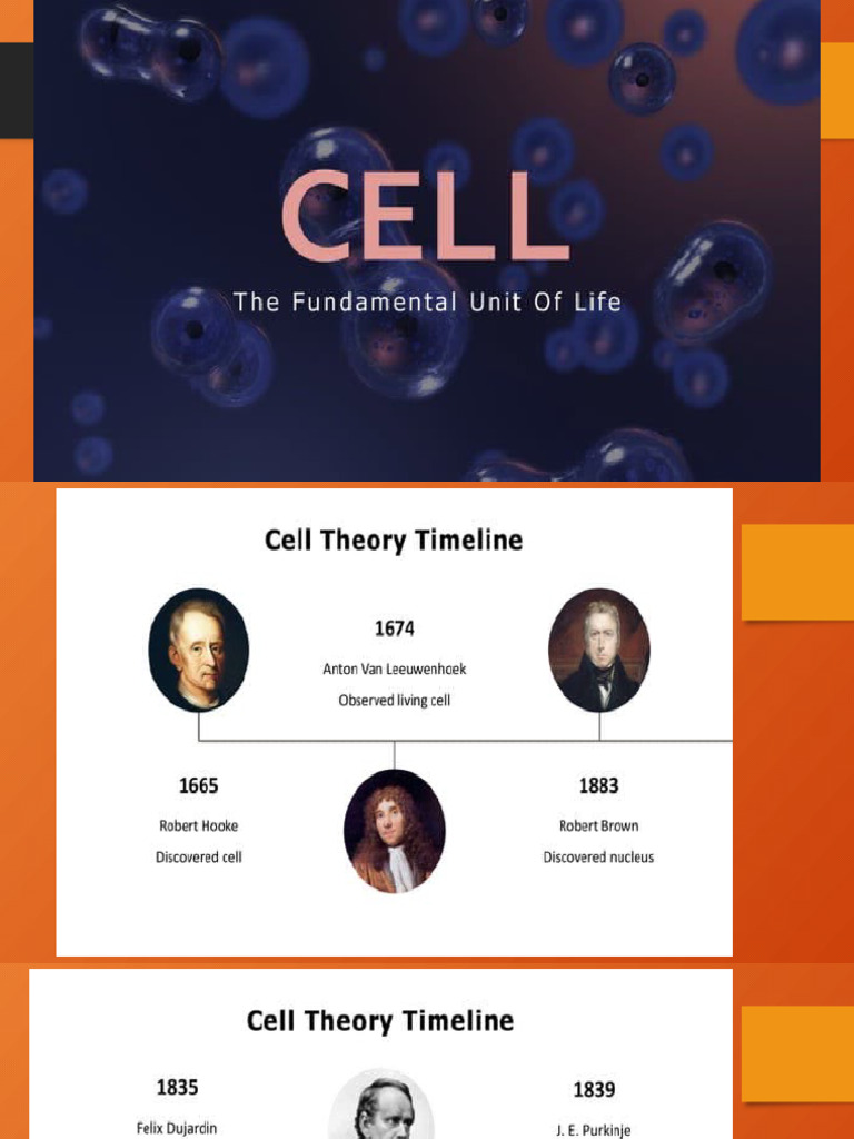 Overview of Cell Structure and Functions | PDF | Cell (Biology) | Cytoplasm