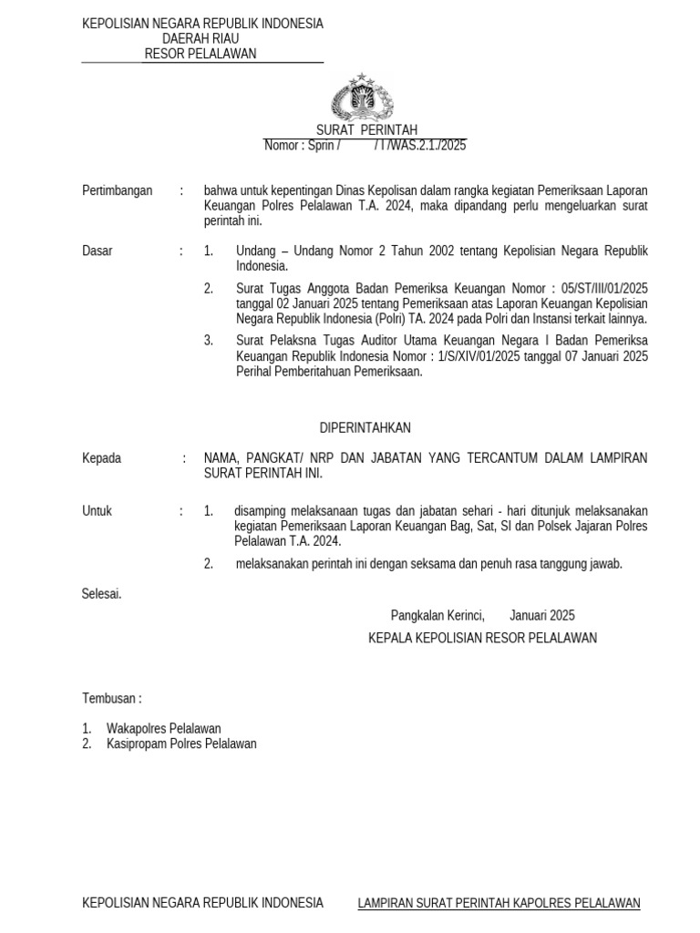 Sprin Kegiatan Pemeriksaan Laporan Keuangan Polres Pelalawan T.A. 2024 ...