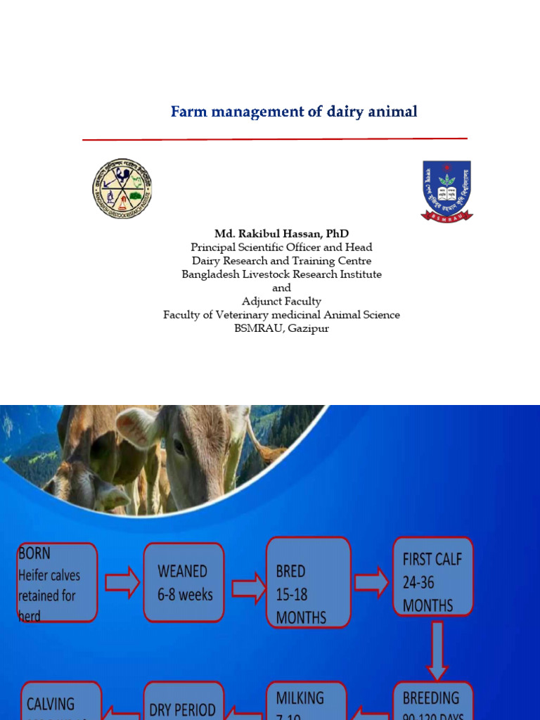 Optimal Dairy Farm Management Practices | PDF | Dairy Cattle | Cattle