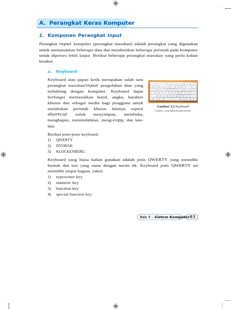 Perangkat Input dan Output Komputer | PDF