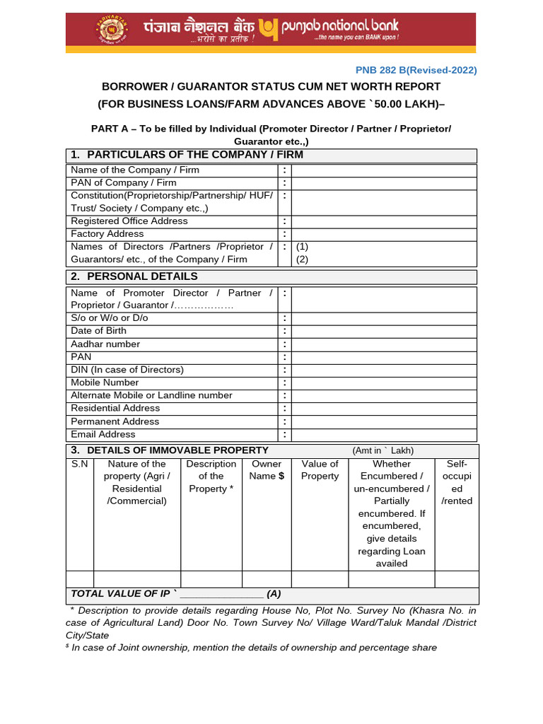 PNB 282B Borrower Guarantor Report | PDF | Equity (Finance) | Private Law