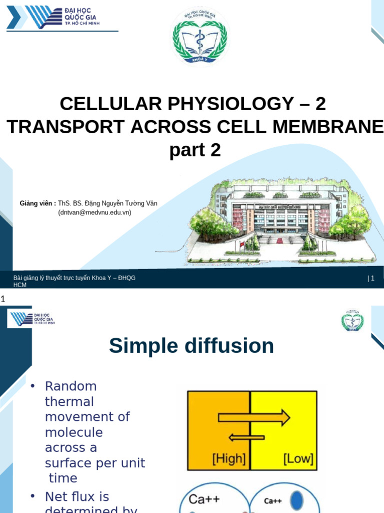 Cell Membrane Transport Mechanisms | PDF | Diffusion | Cell Biology