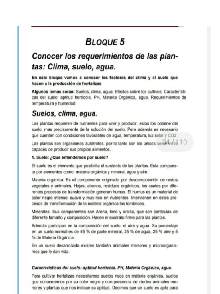 Anexo Huerta. TP 1 | PDF