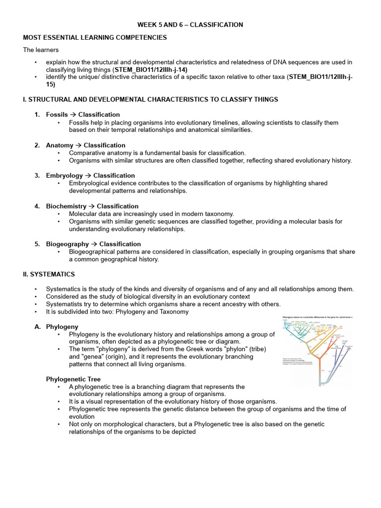 Week 5 6 Phylogeny and Taxonomy | PDF | Taxonomy (Biology) | Phylogenetics