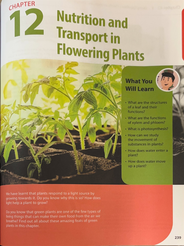 Bio CH 12 PT 1 | PDF