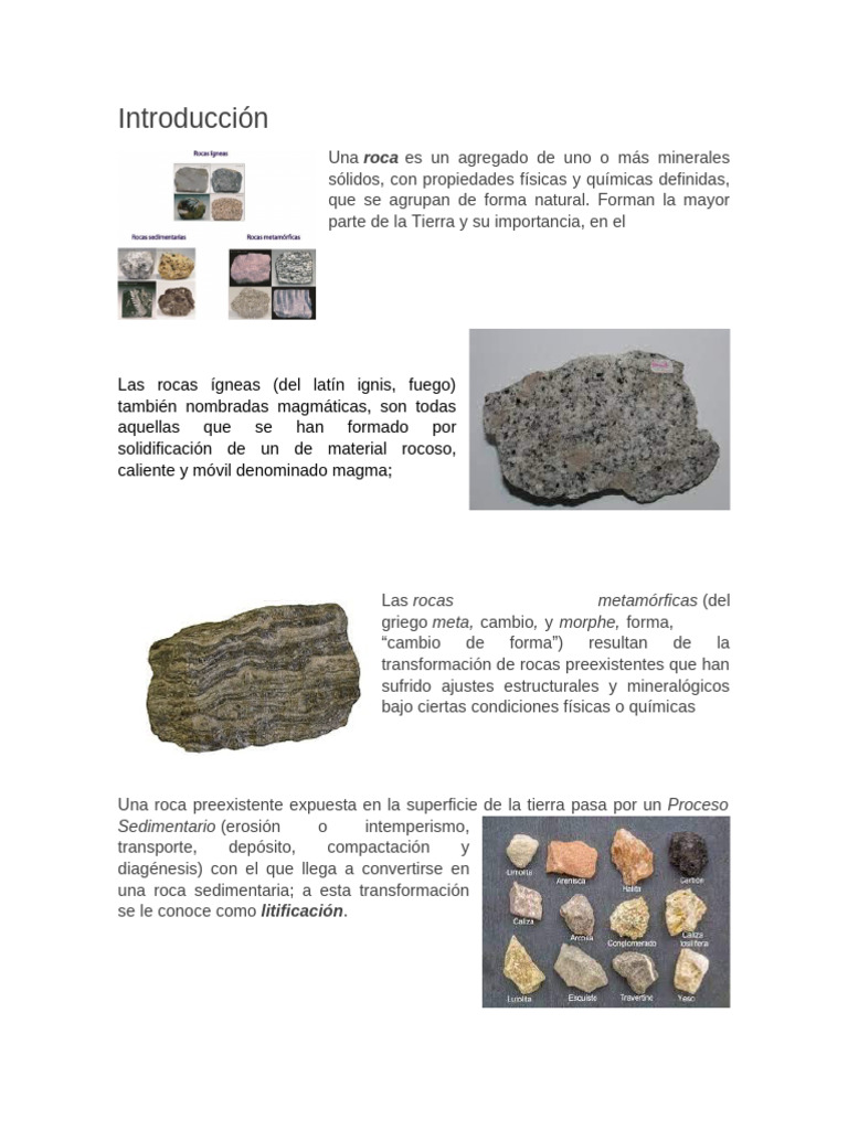 Tipos de Rocas: Ígneas, Metamórficas y Sedimentarias | PDF