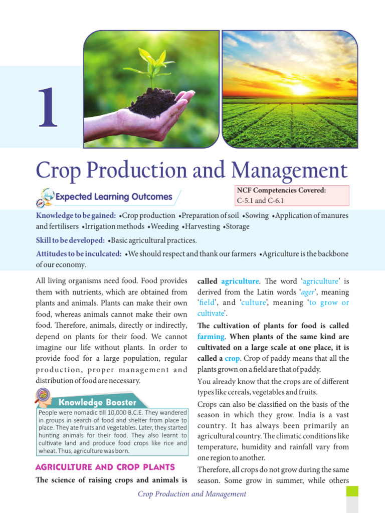 Crop Production and Management Guide | PDF | Fertilizer | Manure