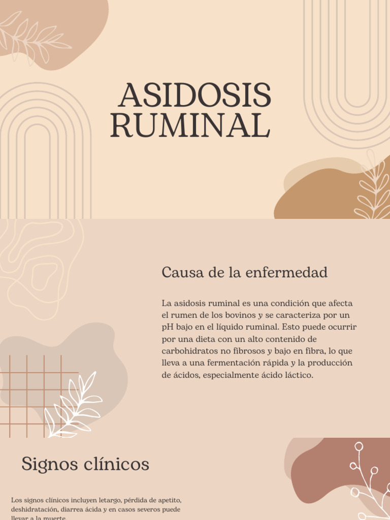 Acidosis Ruminal - 20241027 - 083033 - 0000 | PDF