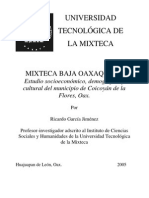 Coicoyán de las Flores: Estudio socioeconómico del municipio mixteco