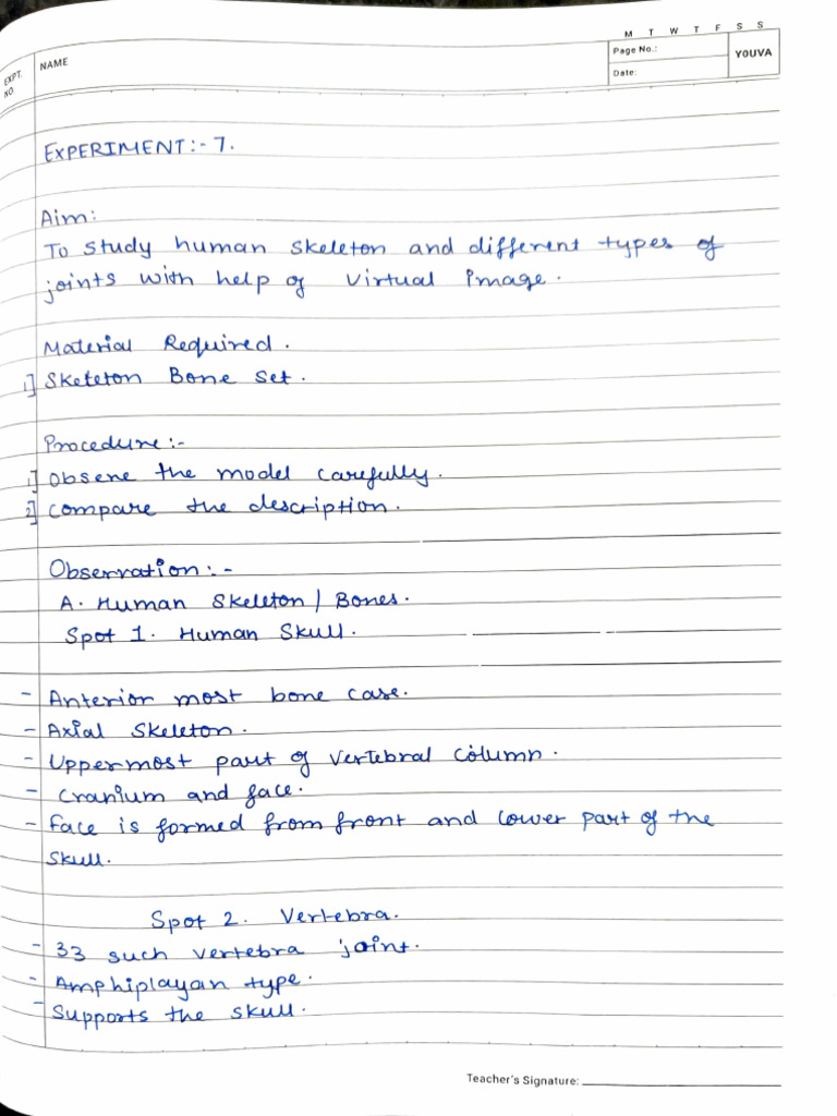 Handwritten Notes on Human Skeleton | PDF | Musculoskeletal System ...