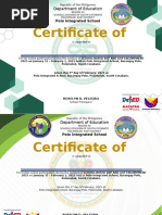 BSP Camp Participation Certificate | PDF