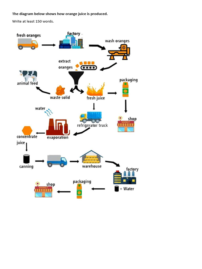 Orange Juice Production Process Explained | PDF