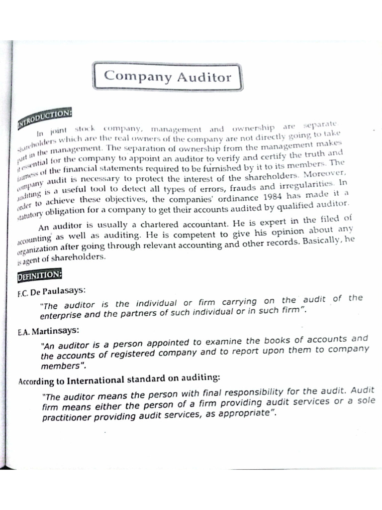 Company Auditor | PDF