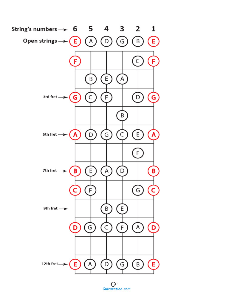 Guitar String Notes and Frets Guide | PDF