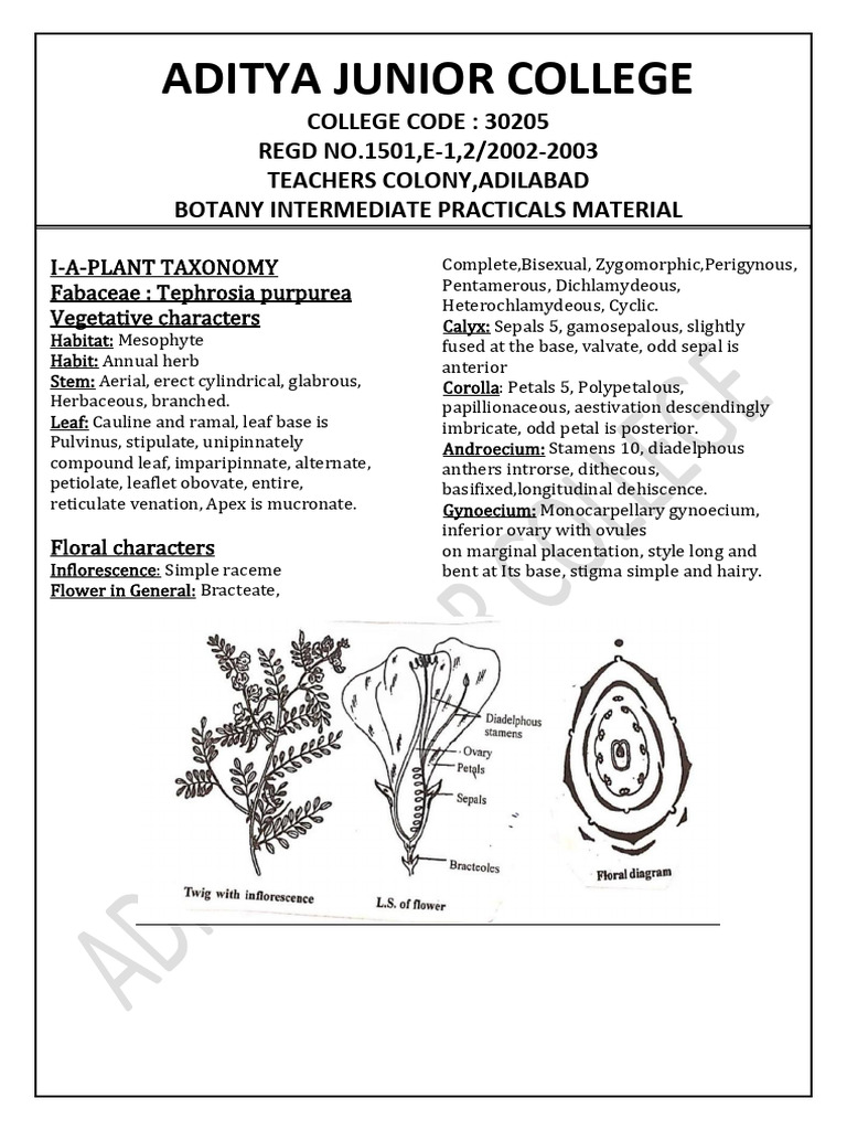 Botany Practical Guide for Students | PDF | Leaf | Plant Reproduction