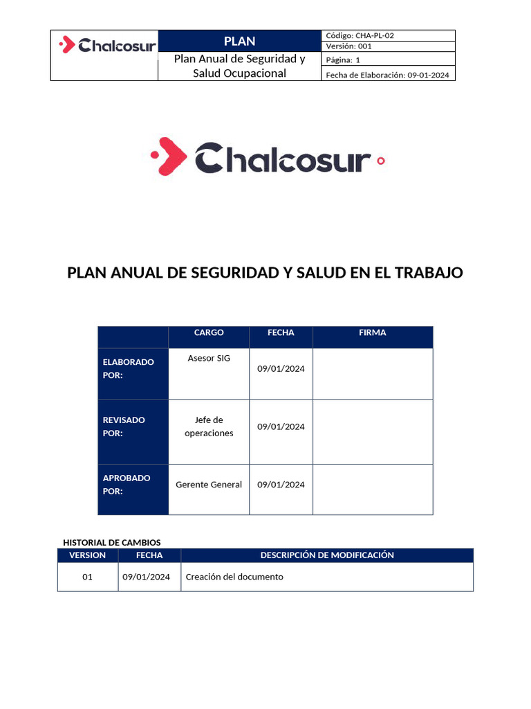 Plan Anual de Seguridad y Salud 2024 | PDF | Seguridad y salud ...