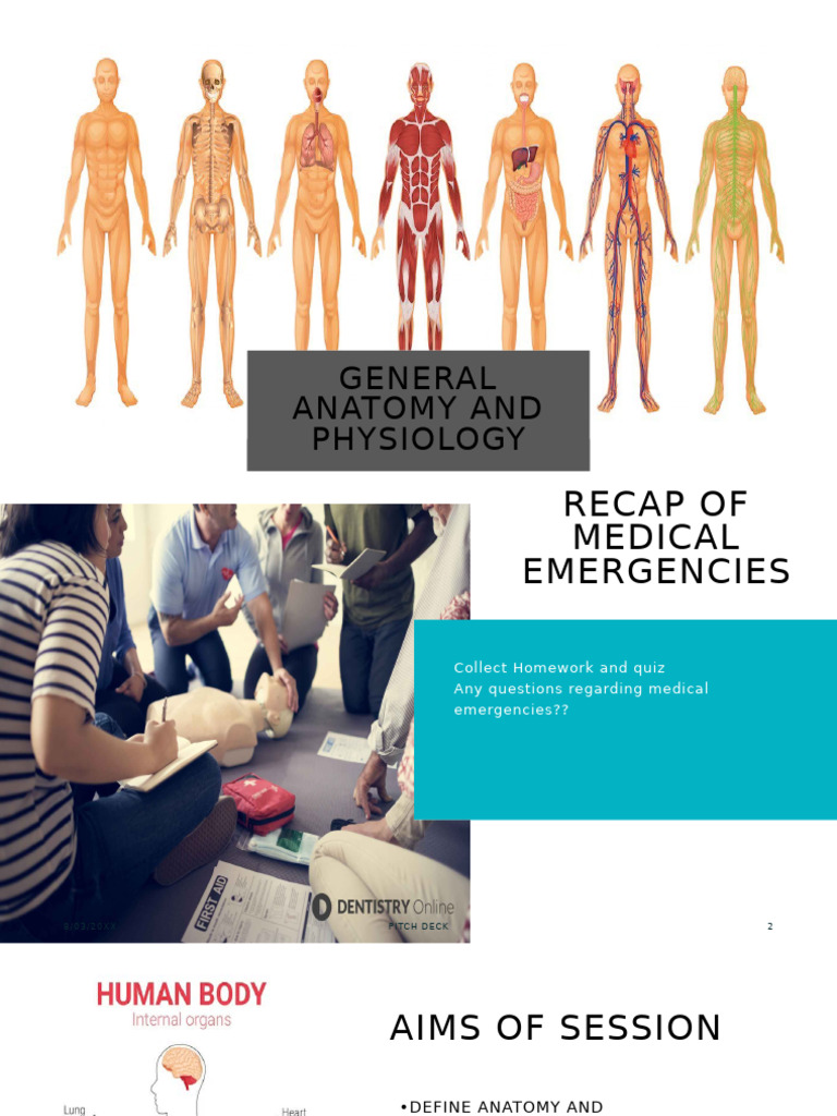 Anatomy and Physiology Overview | PDF | Blood | Human Body