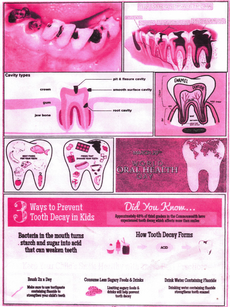 Adobe Scan 01-Aug-2024 | PDF | Tooth Enamel | Dental Anatomy