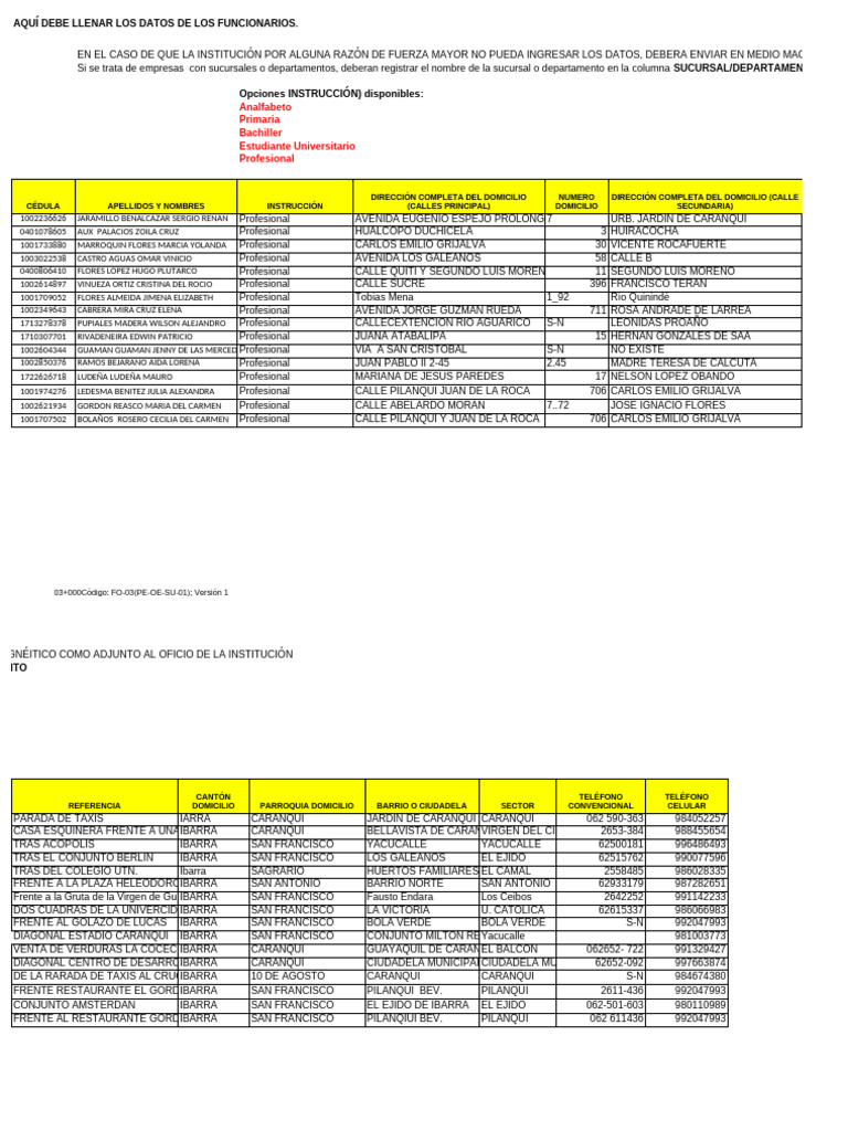 1d01plantilla Institucion Ipu | PDF