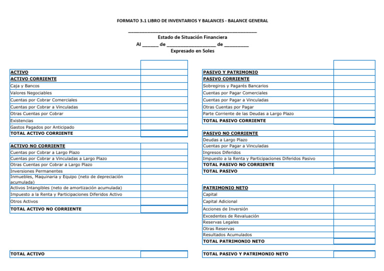 Formato de Estado de Situacion Financiera | PDF | Activo fijo | Economias