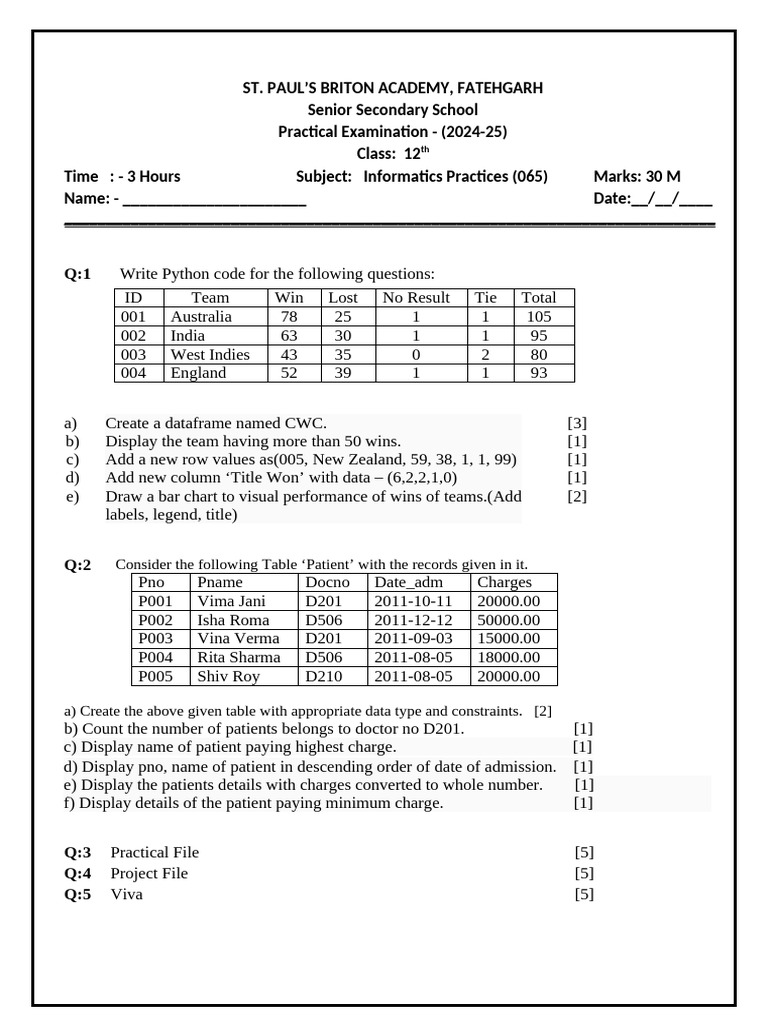 Informatics Practices Exam 2024-25 | PDF | Computer Programming | Data ...