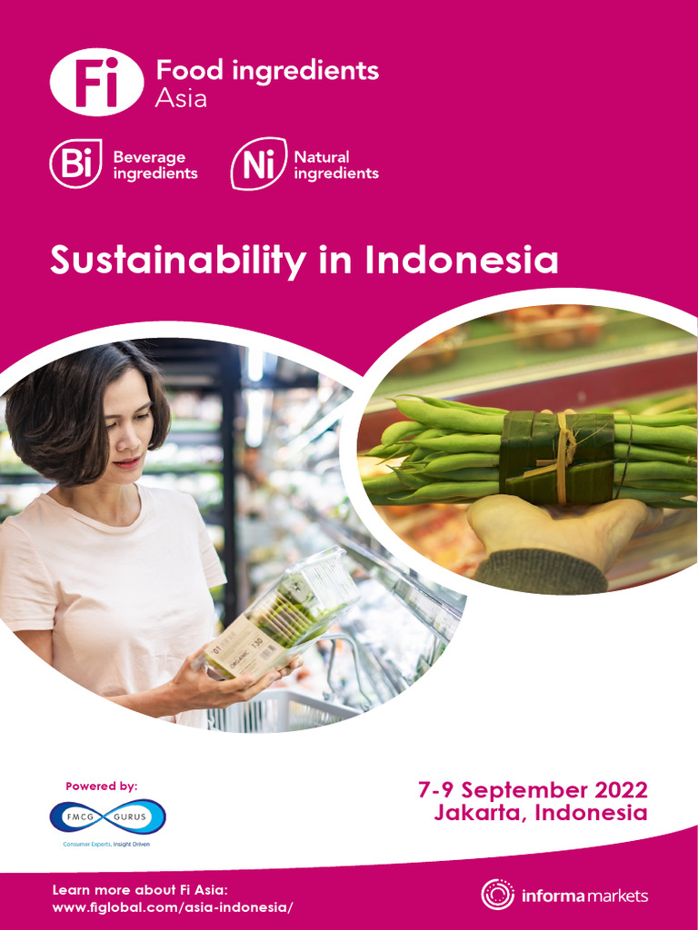Sustainability In Indonesia 2022 Pdf Sustainability Diet Nutrition