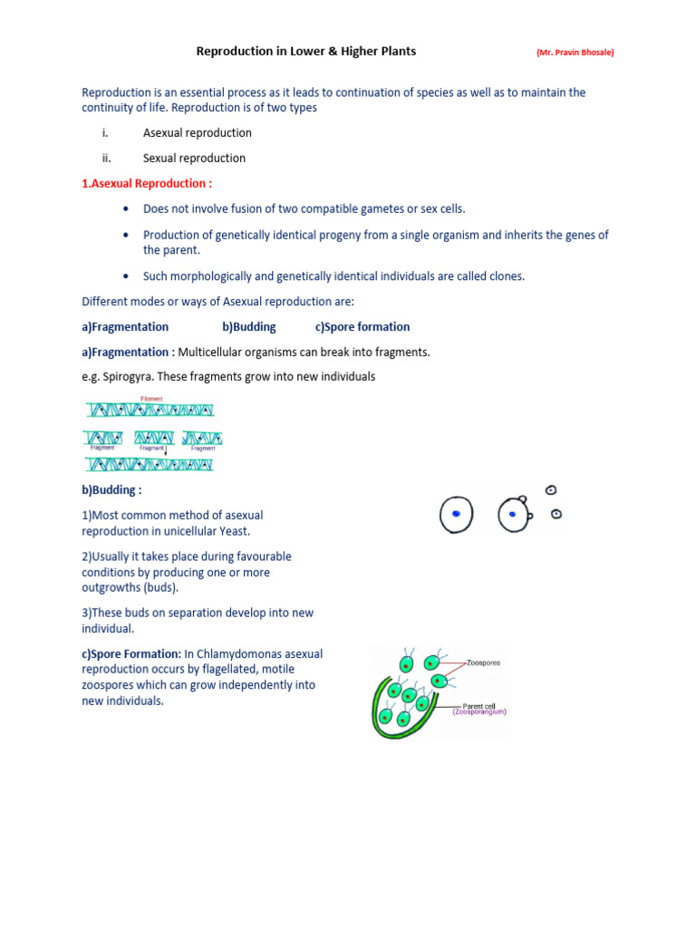 Reproduction in Lower & Higher Plants | PDF | Seed | Fertilisation
