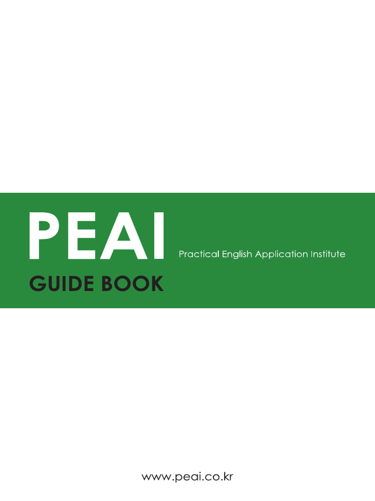 PEAI °¡ÀÌ Åºï | PDF