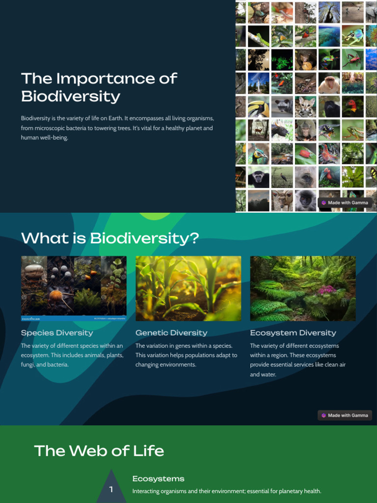 Importance and Threats of Biodiversity | PDF | Biodiversity | Habitat ...
