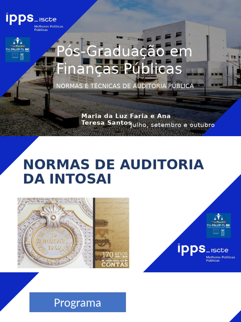 Normas de Auditoria da INTOSAI | PDF | Auditoria financeira | Planejamento