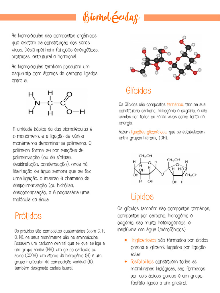 Estrutura e Funções das Biomoléculas | PDF
