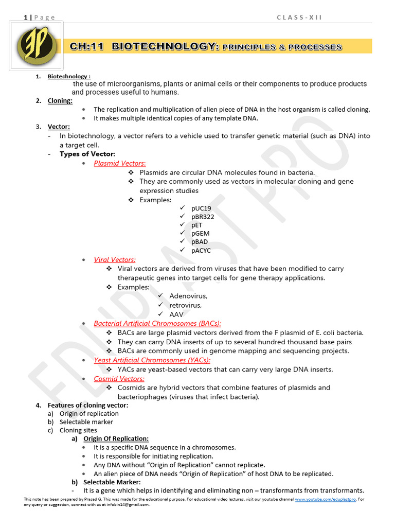 Chapter 11 - Biotechnology - Principles and Processes | PDF | Plasmid ...