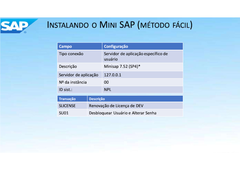 Mini SAP | PDF