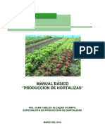Manual Hortalizas Pesa Chiapas 2010 (1) 1