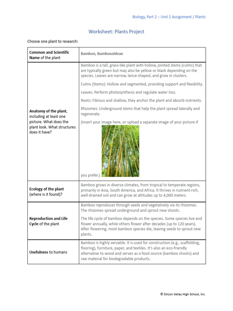 Plant Facts Chart | PDF | Plants | Bamboo
