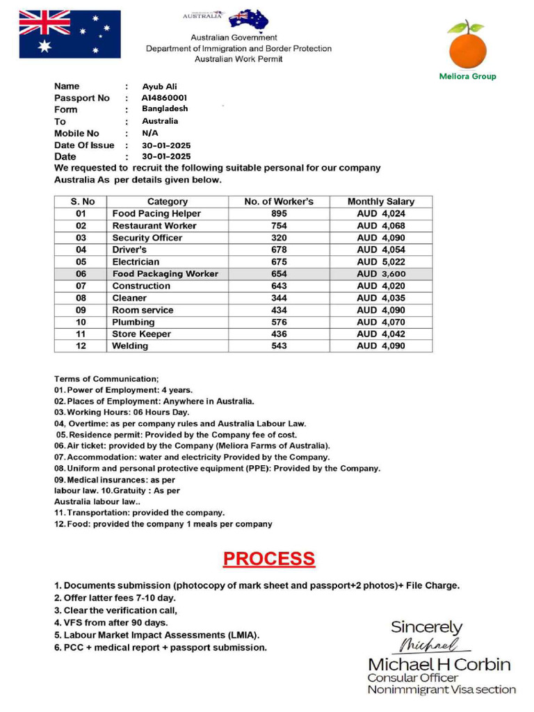 W Permit | PDF