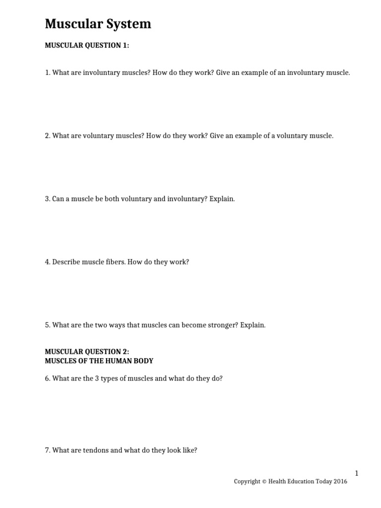 Preston Thompson - Muscular System | PDF