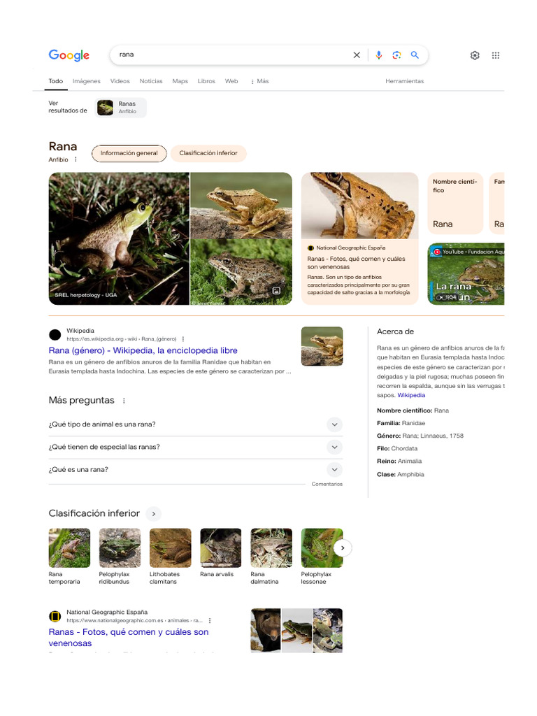 Características y clasificación de ranas | PDF | Rana | Anfibio